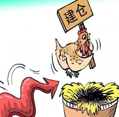 拔高式建倉(cāng)手法